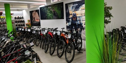 Fahrradwerkstatt Suche - Fahrradladen - e-Bike Verkauf und Werkstatt in 35440 Linden - e-motion e-Bike Welt Gießen