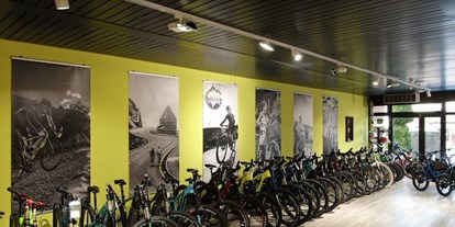 Fahrradwerkstatt Suche - repariert Liegeräder und Spezialräder - Erlebnis Fahrrad
