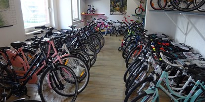 Fahrradwerkstatt Suche - repariert Liegeräder und Spezialräder - Deutschland - Fahrrad Kamps