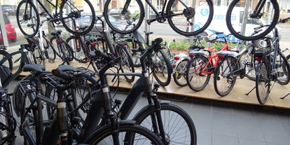 Fahrradwerkstatt Suche - Ergonomie - Nordhorn - Fahrrad Kamps