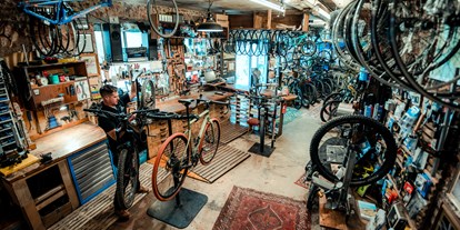 Fahrradwerkstatt Suche - repariert Liegeräder und Spezialräder - Österreich - Lemur Bike Shop - Lemur Bike