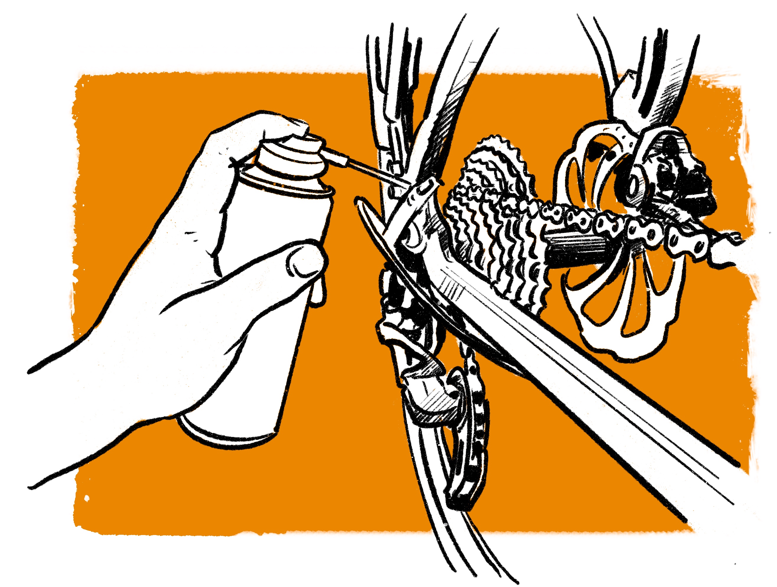 Bicycle workshop - RAD4ALL Brunner