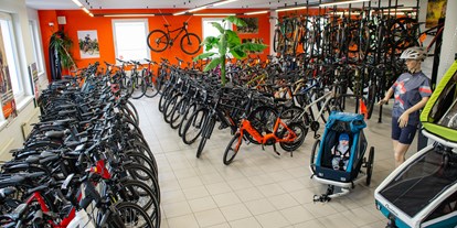 Fahrradwerkstatt Suche - repariert Liegeräder und Spezialräder - Neusiedler See - Radsport Waldherr