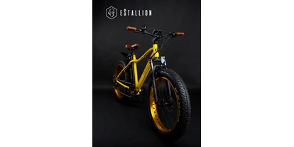 Fahrradwerkstatt Suche - Leihrad / Ersatzrad - Köln, Bonn, Eifel ... - eStallion E-Fatbike | Chevrom GmbH