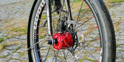 Fahrradwerkstatt Suche - Softwareupdate und Diagnose: Bosch - Deutschland - ReCycles Bikes Berlin 