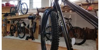 Fahrradwerkstatt Suche - Eigene Reparatur vor dem Laden - Baden-Württemberg - Bike Buddy
