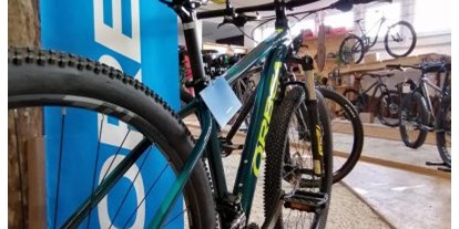 Fahrradwerkstatt Suche - Eigene Reparatur vor dem Laden - Schwarzwald - Bike Buddy