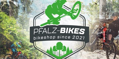 Fahrradwerkstatt Suche - repariert Liegeräder und Spezialräder - Pfalz-Bikes