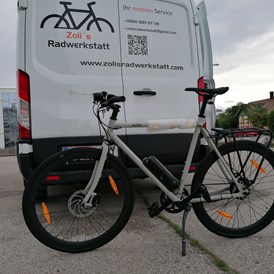 Fahrradwerkstatt: Service Partnerschaften mit:
Sushi
Radon
Rose - Zoli's mobile Radwerkstatt 