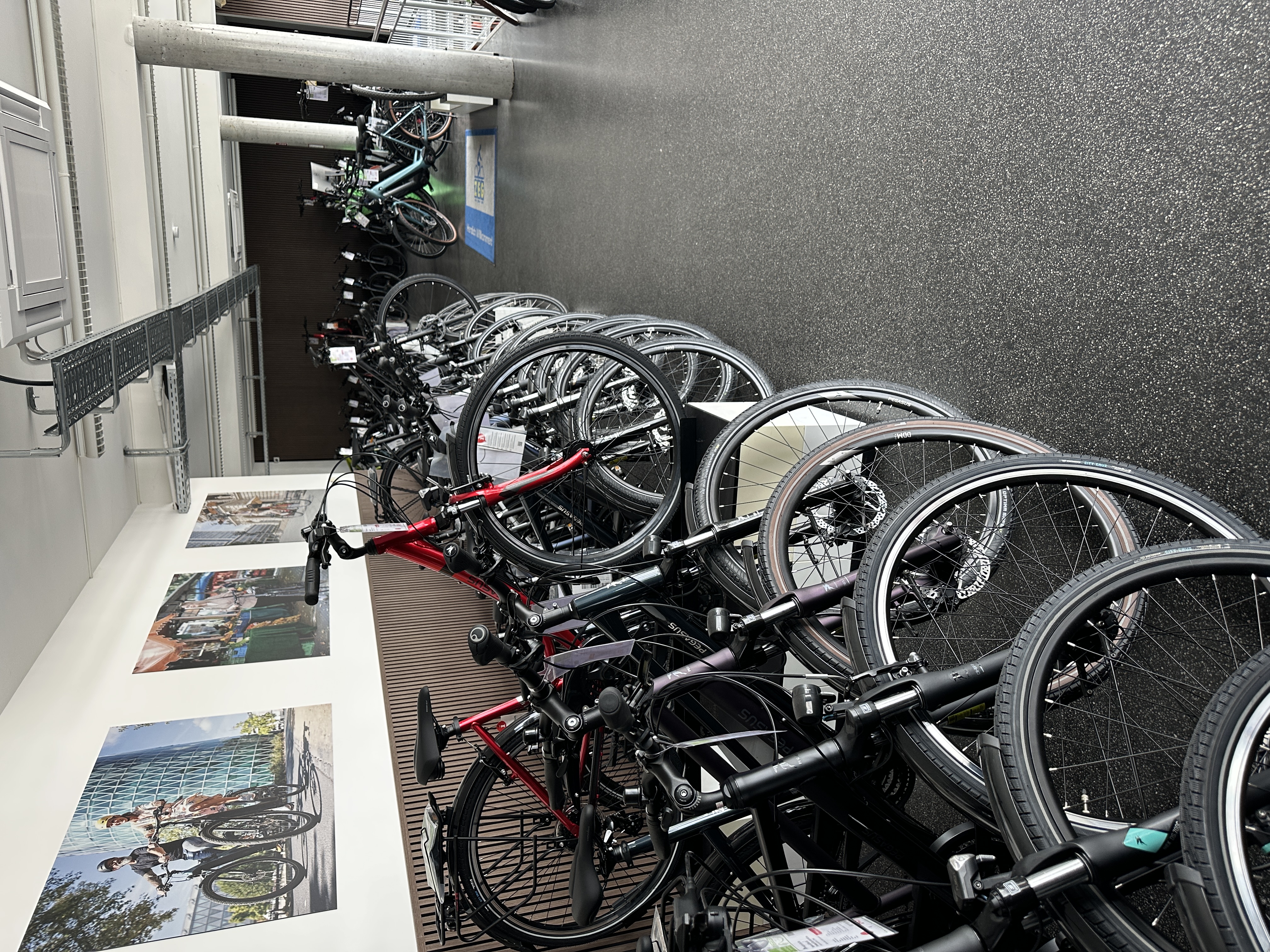 Bicycle workshop search - Hessen Süd - Radhaus Kriegelstein GmbH