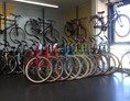 Fahrradwerkstatt: Radsporthaus Kriegelstein GmbH