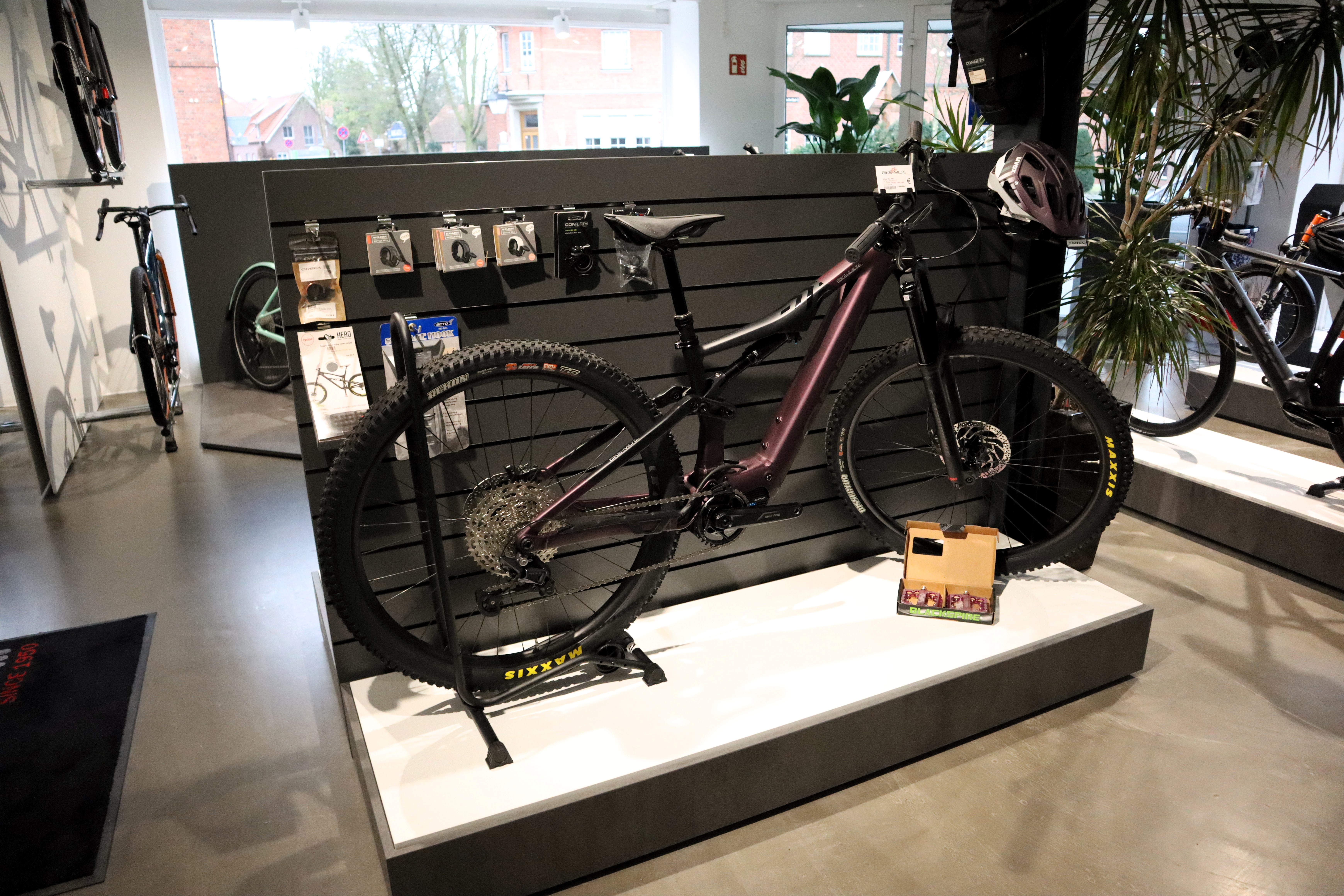 Fahrradwerkstatt: E-MTB - Bike-Milte vit:bikes