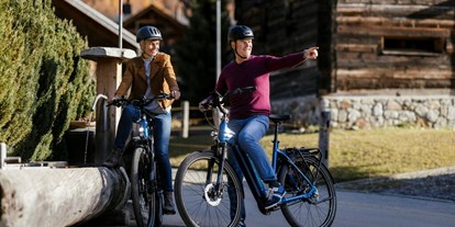 Fahrradwerkstatt Suche - FLYER Gotour6 Mietbike  - Bike Service Bingen GbR