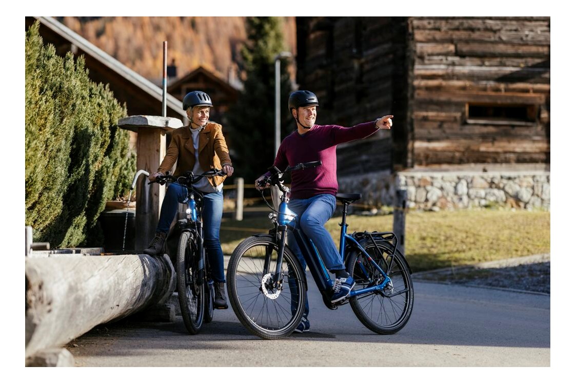 Fahrradwerkstatt: FLYER Gotour6 Mietbike  - Bike Service Bingen GbR