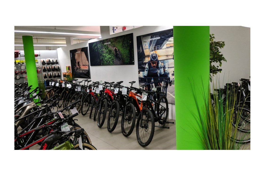 Fahrradwerkstatt: e-Bike Verkauf und Werkstatt in 35440 Linden - e-motion e-Bike Welt Gießen