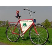 Fahrradwerkstatt - Fahrrad Service Bosch