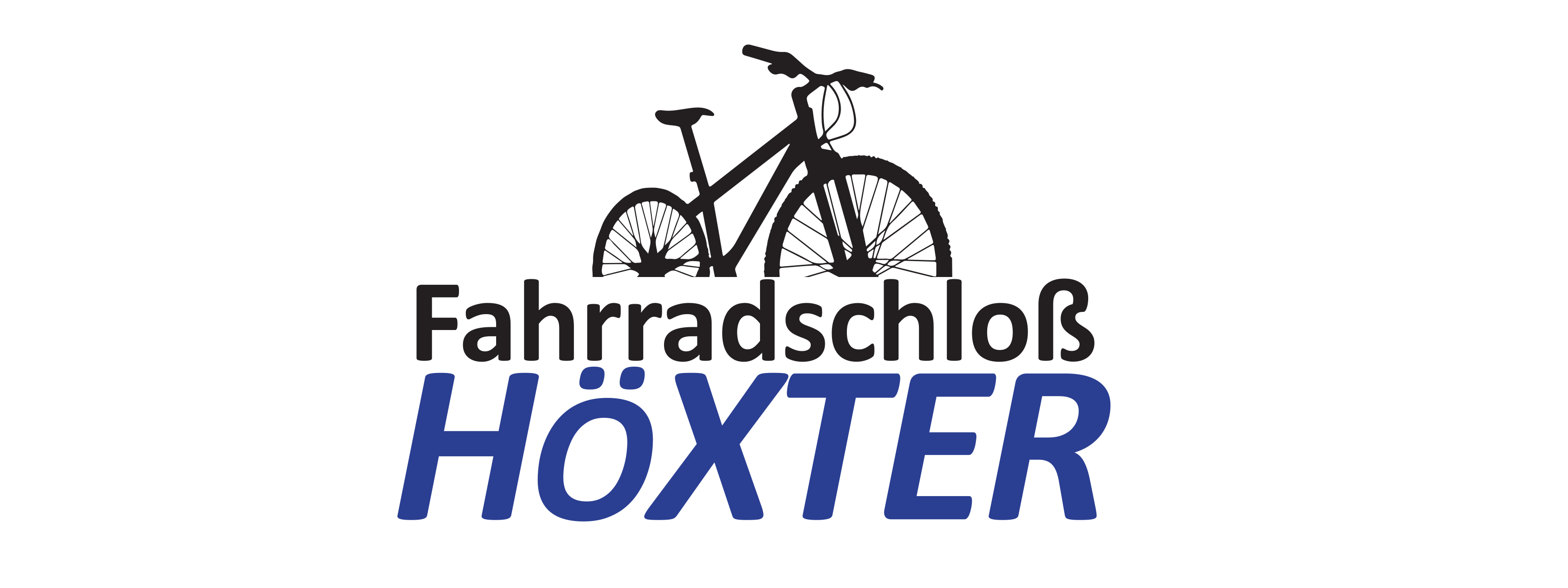 singlespeed gravel bike Single Speed – Stormchaser Single Speed – Salsa Cycles Dragonflight 10.0.7 Feature Preview! MSRP:1599 Gender:Female