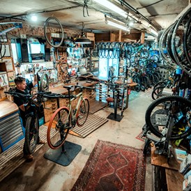 Fahrradwerkstatt: Lemur Bike Shop - Lemur Bike