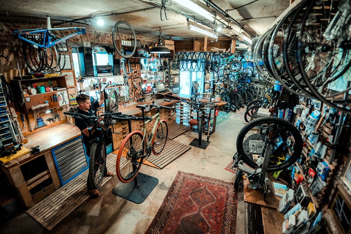 Fahrradwerkstatt: Lemur Bike Shop - Lemur Bike