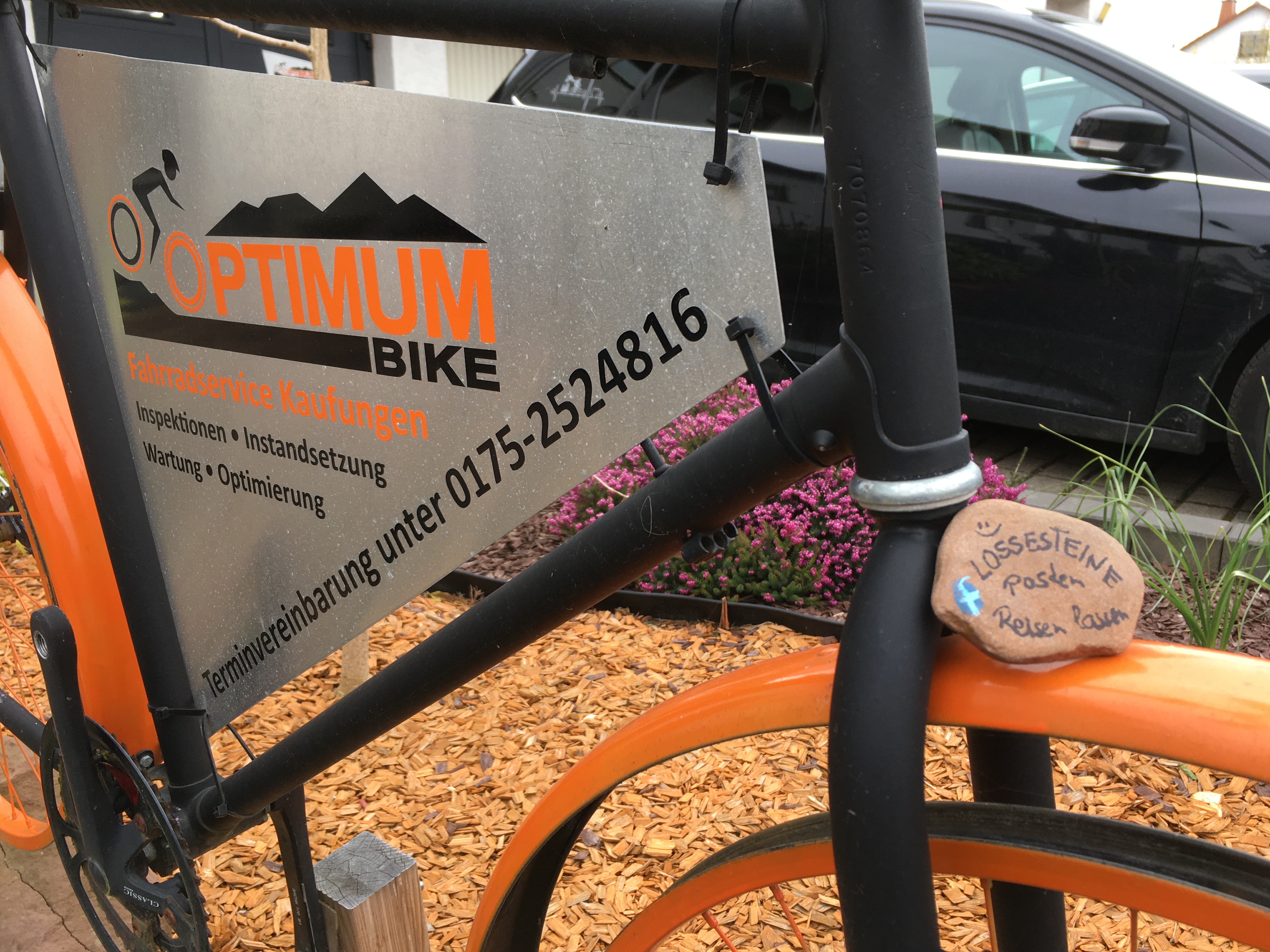 Fahrradwerkstatt: Optimum Bike