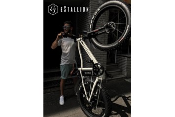Fahrradwerkstatt: eStallion E-Fatbike | Chevrom GmbH