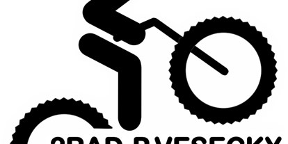 Fahrradwerkstatt Suche - repariert Liegeräder und Spezialräder - Wien-Stadt - 2Rad-Vesecky