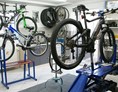 Fahrradwerkstatt: Fahrrad-Meisterwerkstatt Kreis