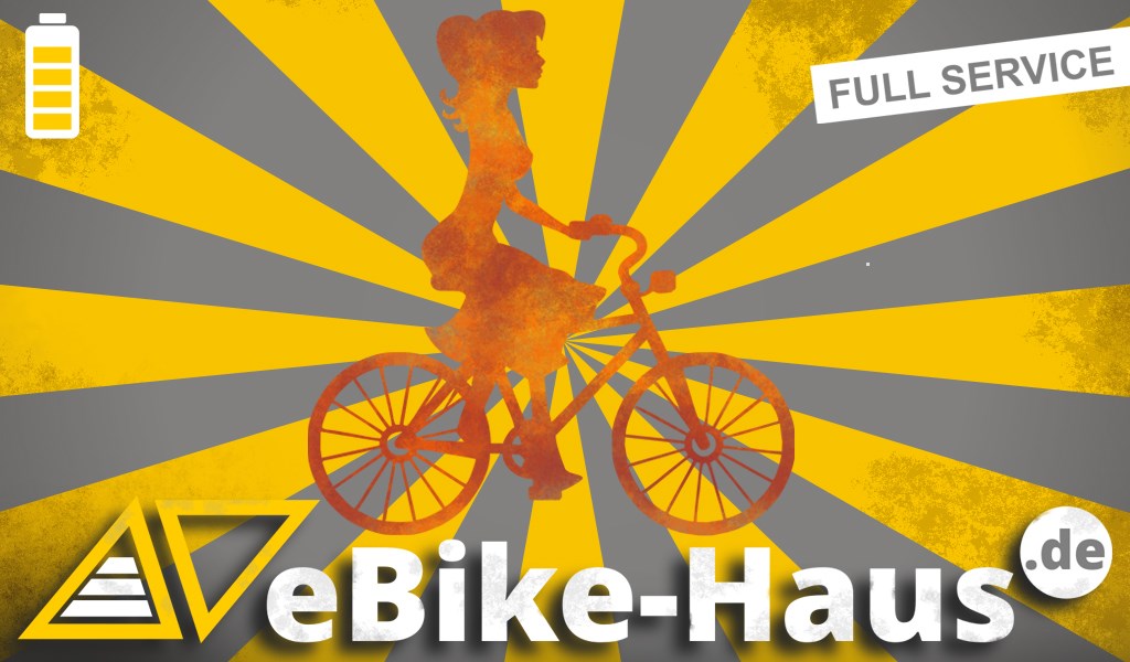 Fahrradwerkstatt: eBike-Haus.de ist der Experte für die Reparatur von E-Bikes im Zentrum von Leipzg. - eBike-Haus.de GmbH