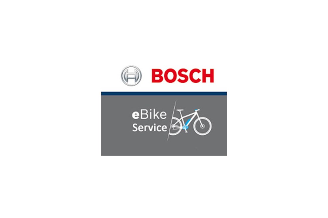 Fahrradwerkstatt: Fahrradservice, Bosch-E-Bike-Service, Fahrradverleih-Reilingen