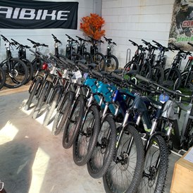 Fahrradwerkstatt: Pfalz-Bikes